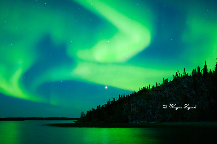 Aurora Borealis by Dr. Wayne Lynch &copy;